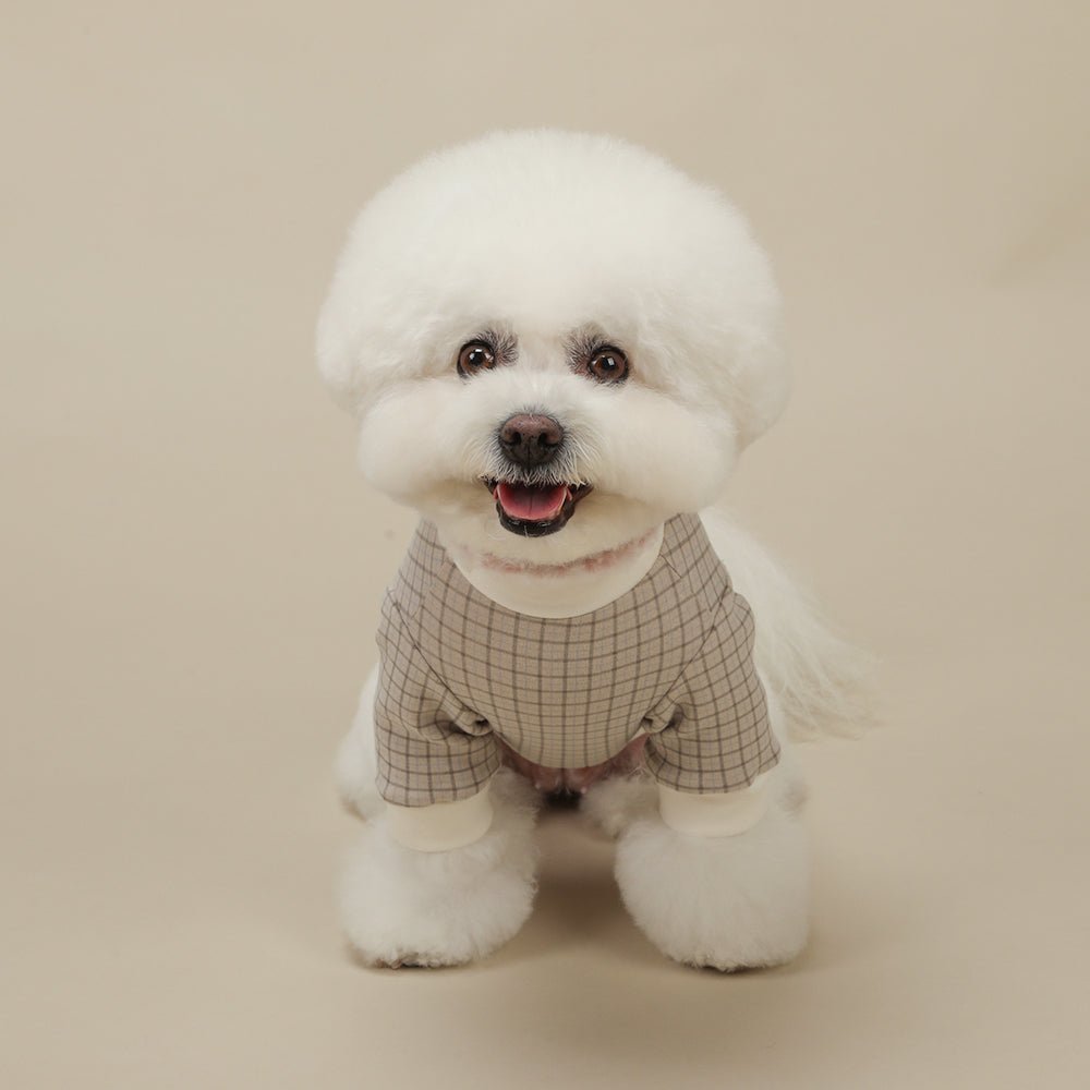 Sweetly Checkered T-Shirt - PawPaw Pet Shop
