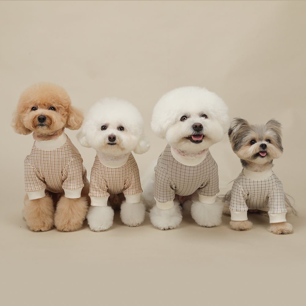 Sweetly Checkered T-Shirt - PawPaw Pet Shop