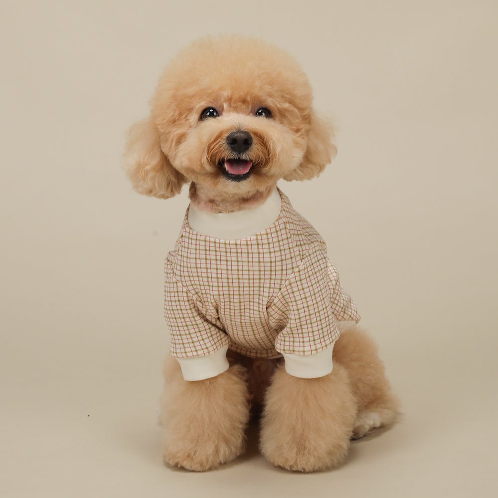 Sweetly Checkered T-Shirt - PawPaw Pet Shop